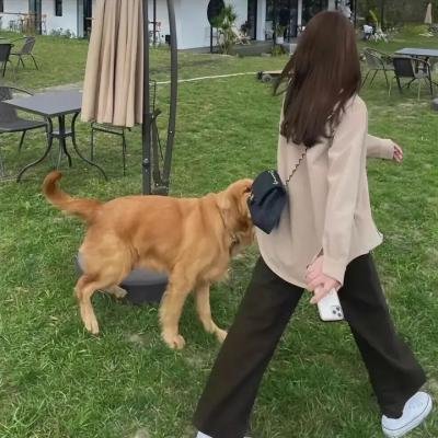 萨摩尼之路封面